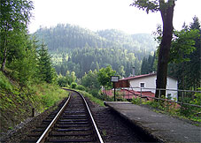 min 135 6.jpg min 135 6.jpg